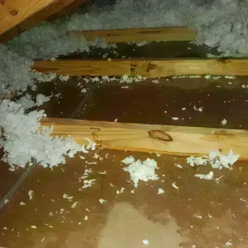 Attic Water Damage in Bloomingdale, DC